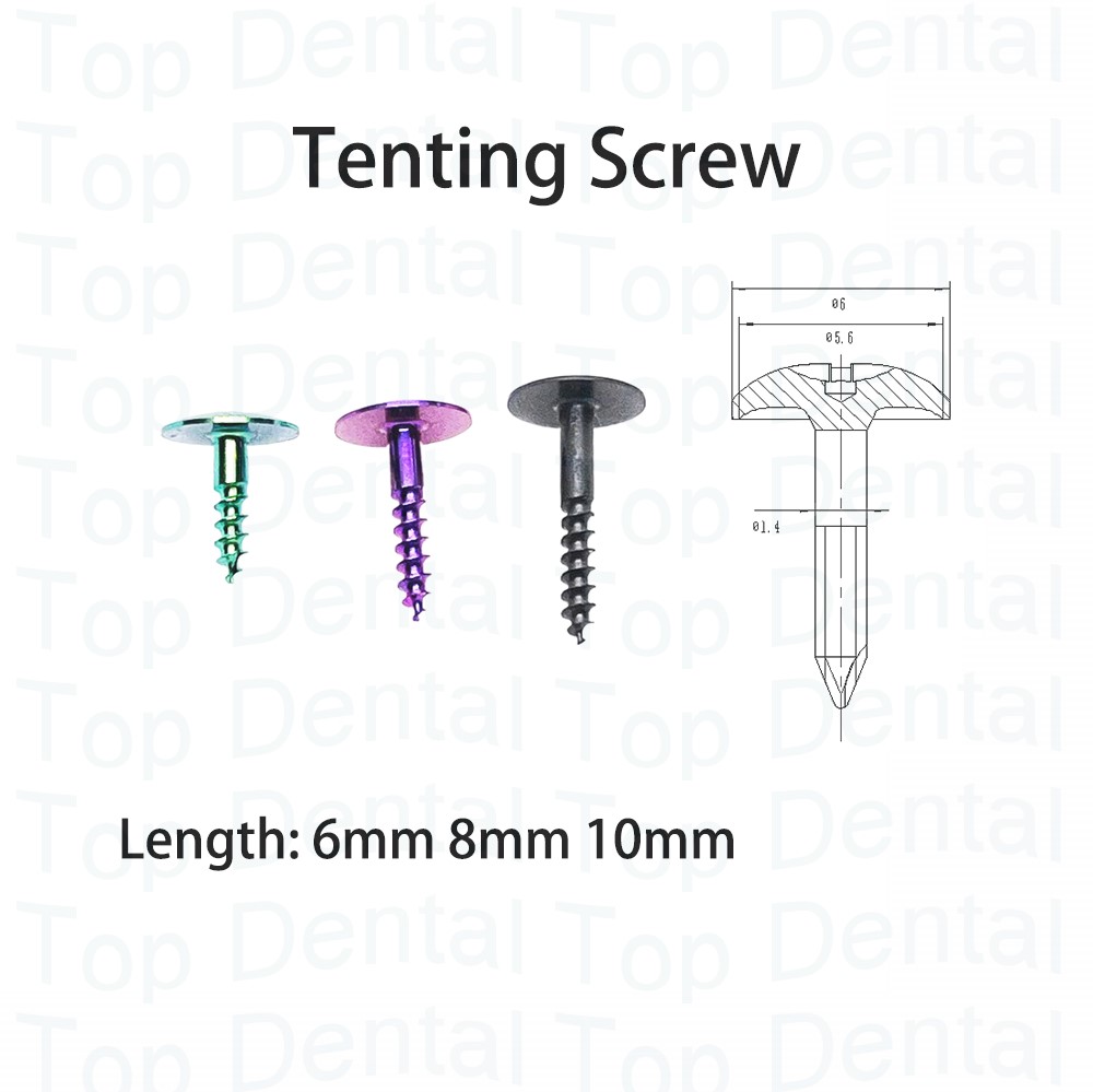 Sistema Dental GBR, tornillos  - Stabilizer Screw In reseña y precio